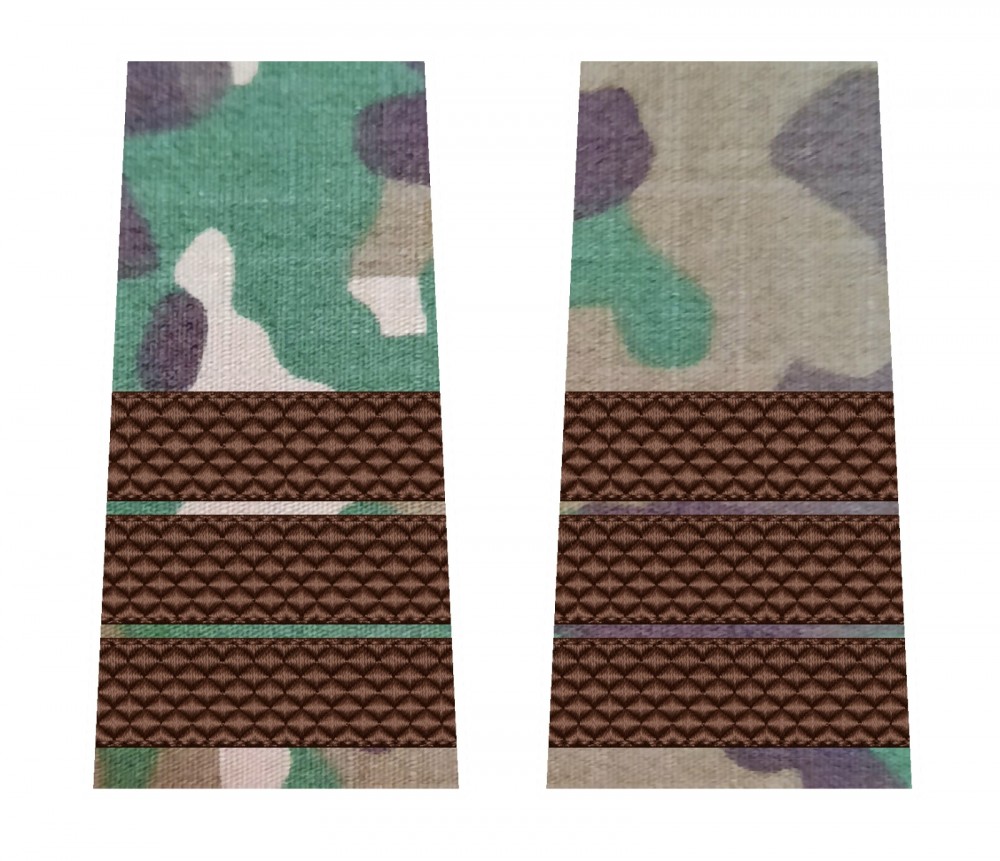 GRADE PLUTONIER ADJUTANT COMBAT FORTE TERESTRE